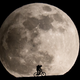 Illustration for article titled So it’s true! The full Moon emdoes/em mess with our sleep.